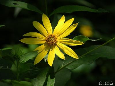 Shadows and Sun  073.jpg