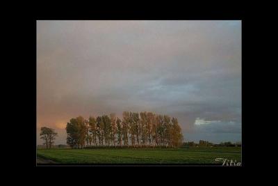 Zeeuws-Vlaanderen