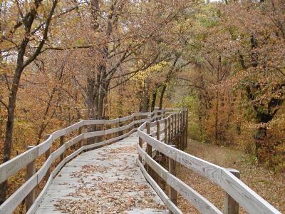 Path at Hitchcock Park.JPG