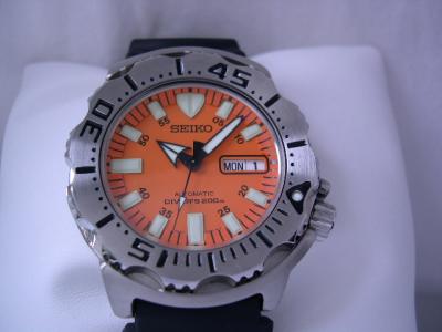 DSCN4101.JPG