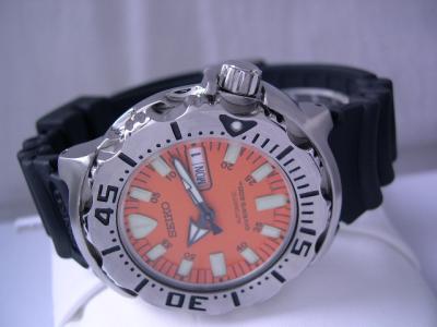 DSCN4103.JPG