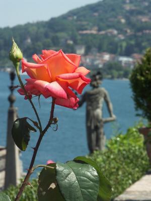 Isola Bella Garden