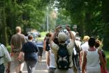 Turnhout - Stad in beweging - Knack Zomerwandeling