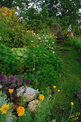 Garden Chair