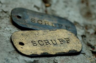 Scruff Tags