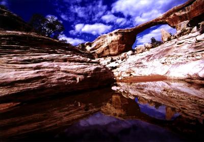 Natural Bridges