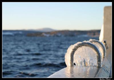 glace2202.jpg