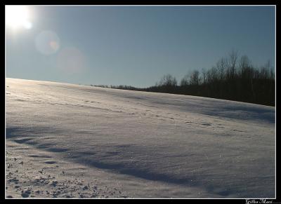 neige2187.jpg
