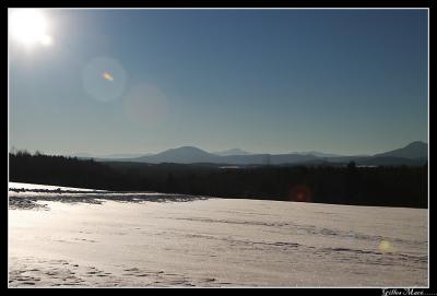 neige2191.jpg