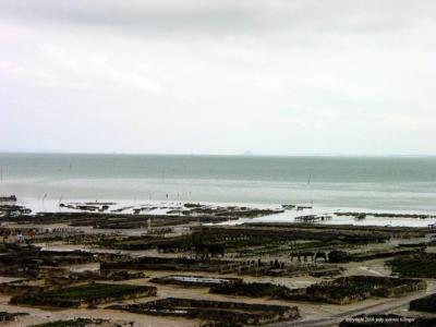 oyster beds, cancale