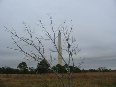 IMG_1510.JPG
