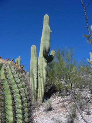 IMG_1396.JPG