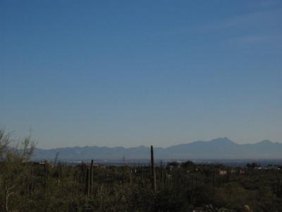 IMG_1408.JPG