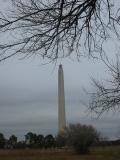 IMG_1514.JPG