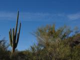 IMG_1415.JPG