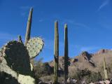 IMG_1427.JPG