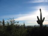 IMG_1438.JPG