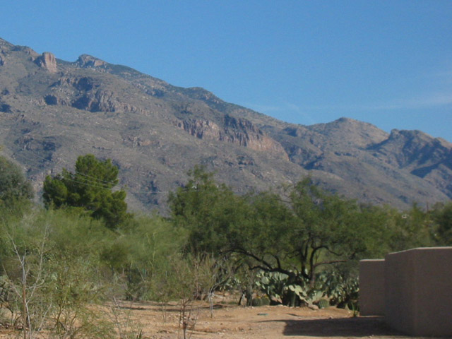 IMG_1270.JPG