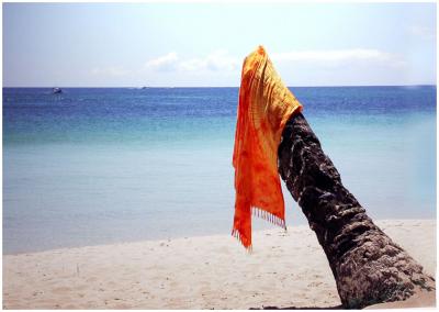 Orange in Blue