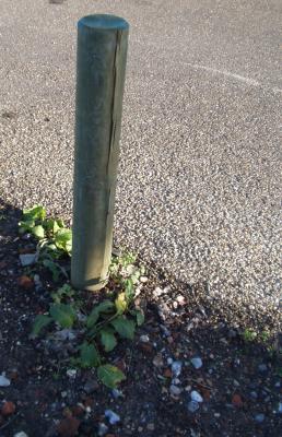 Post in the shade