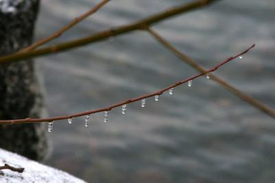 Pearls on string