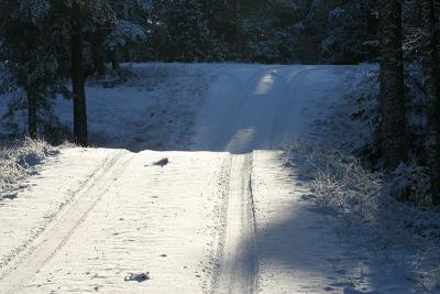 The snowy road