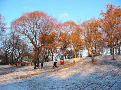 Downhill on the first snow