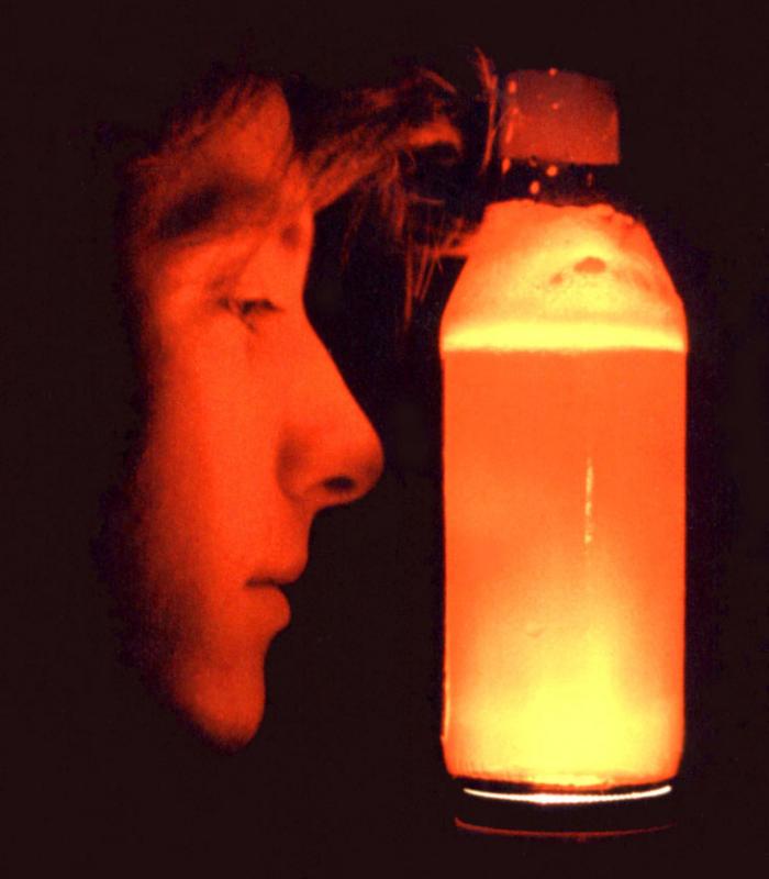 Illuminated Brew