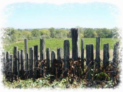 HopKiln  fence masked.jpg
