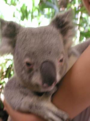 Michelle in Oz