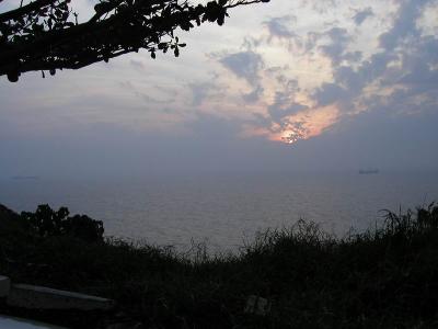 鸨1