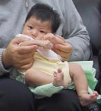 IMG01415_crop_1.jpg