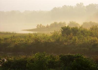 Early Morning River Mist