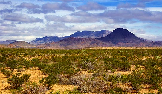 Big Bend 6832