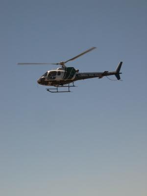 My Chopper Checking Me Out... (IMG_1316.JPG)