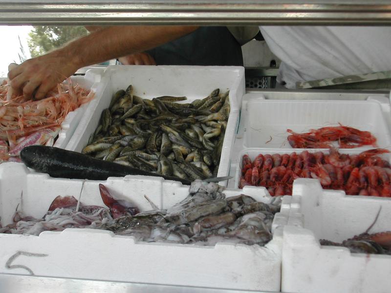 Costa Rei