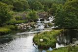 Killarney National Park