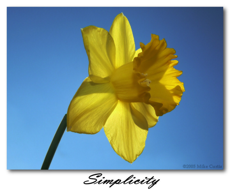 Simplicity