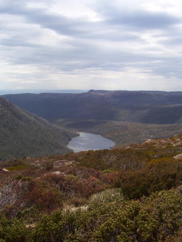 lake seal - mt field - Mt field.jpg