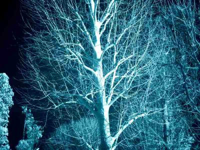 IRt - Experiments in InfraRed