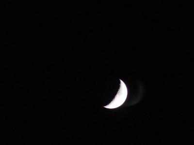 Through a Scope