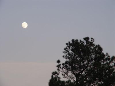 As the Sun Goes Down