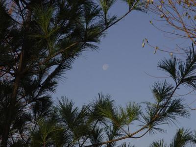 More Moon