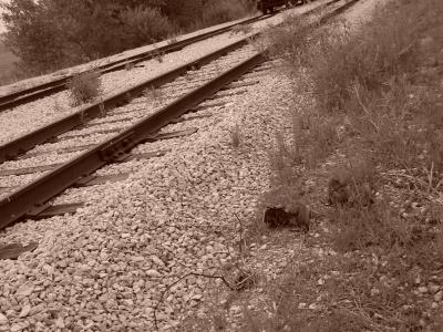 Railroad Spur Series