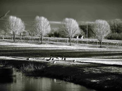 IRt - InfraRed Compositions