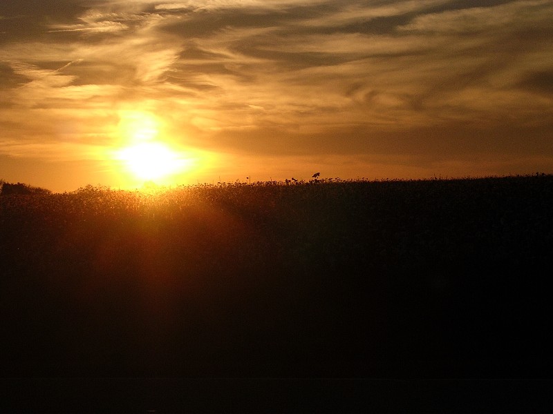 October 31, 2003 over the cotton fields in Oconee County GA