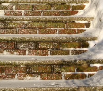 steps2.jpg