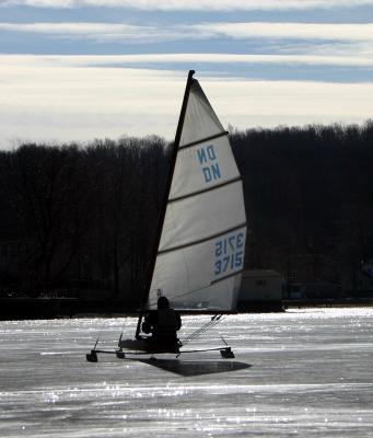 In the wind