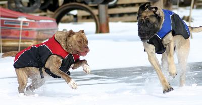 Keep running I'll get cha