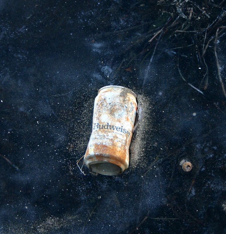 Bud in Ice